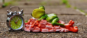 Green frog figurine sleeping on pile of money with alarm clock