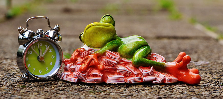 Green frog figurine sleeping on pile of money with alarm clock