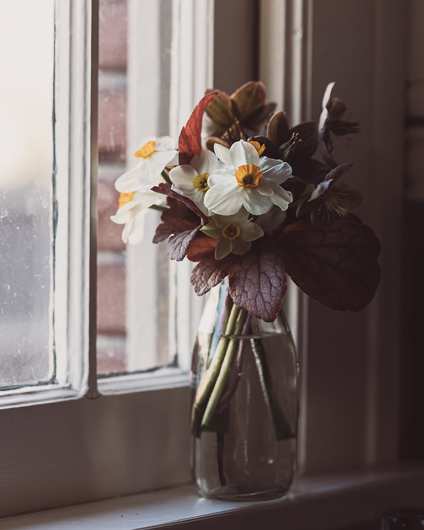 White daffodils in glass vase on window sill