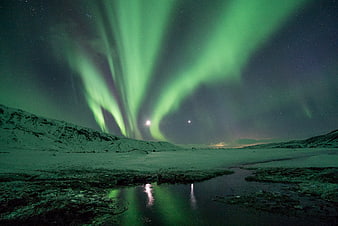 Vibrant Green Aurora Borealis Over Snowy Winter Landscape