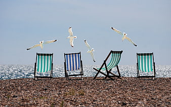 Seagulls Flying Over Striped Deckchairs on Pebble Beach