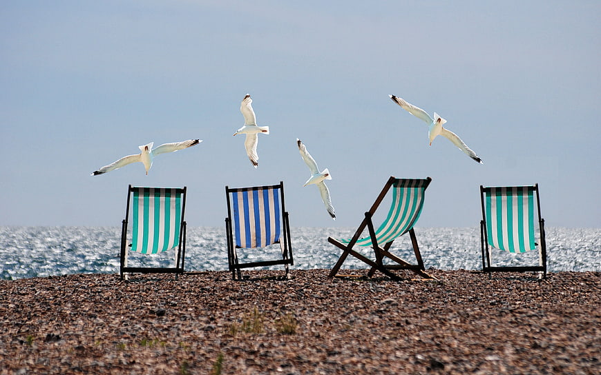 Seagulls Flying Over Striped Deckchairs on Pebble Beach