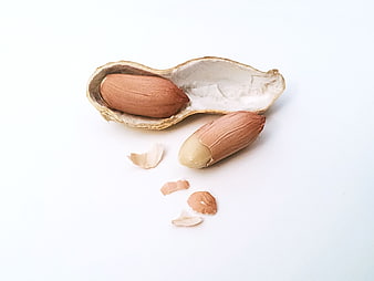 Peanuts in Shell and Shelled on White Background