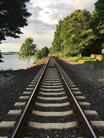 Railroad Tracks Leading to Horizon by Water