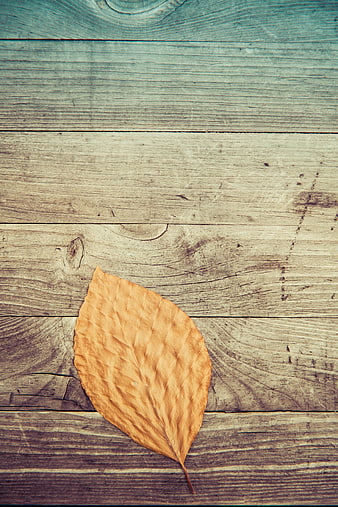 Dried autumn leaf on rustic wooden background