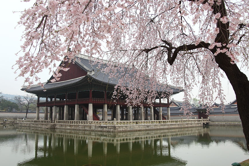 Gyeonghoeru Pavilion at Gyeongbokgung Palace with Cherry Blossoms