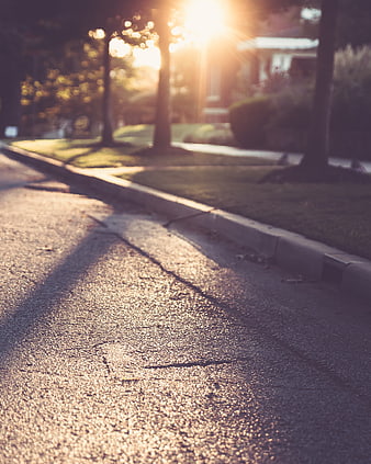 Golden Hour Sunlight on Suburban Asphalt Road