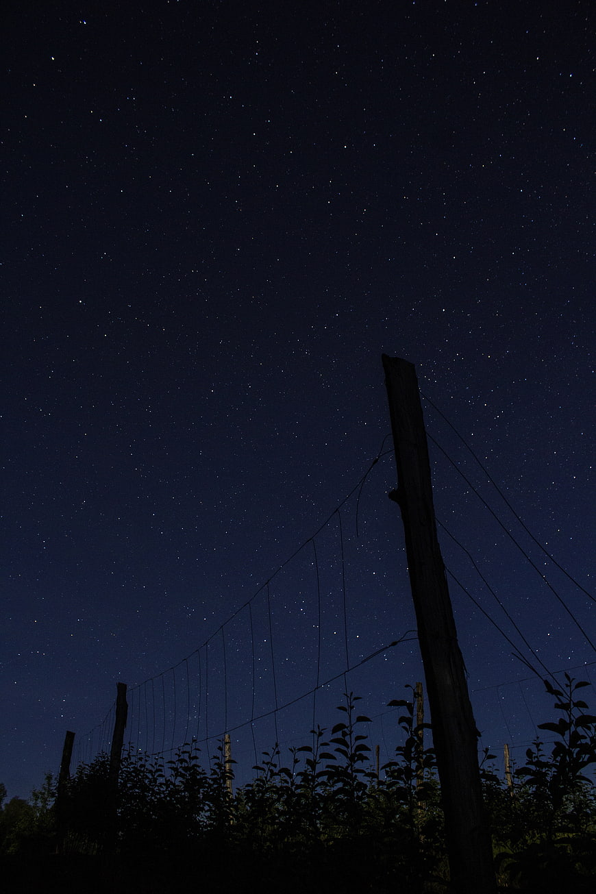 Silhouette of wooden fence against starry night sky