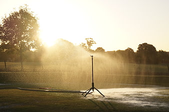 Sprinkler watering golf course at golden hour sunset