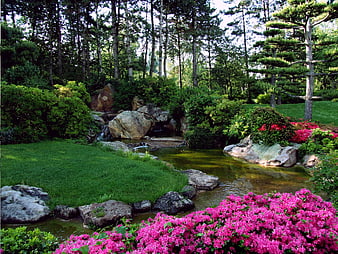 Serene Japanese Garden with Pink Azaleas and Stream