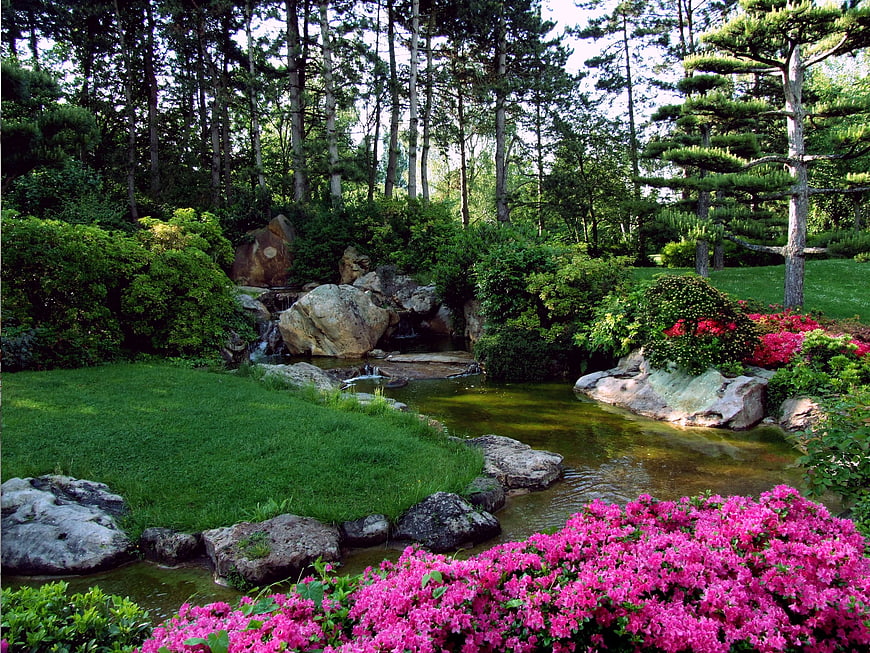 Serene Japanese Garden with Pink Azaleas and Stream