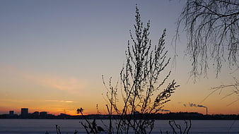 Silhouetted Trees Against Orange Sunset Sky Over Water