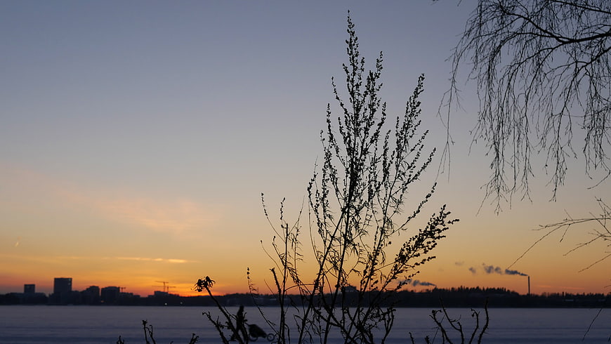 Silhouetted Trees Against Orange Sunset Sky Over Water