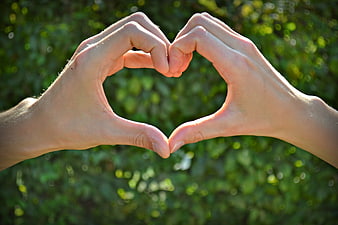 Hands forming heart shape against green bokeh background