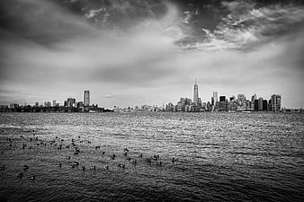 Black and White New York City Skyline with Birds on Water