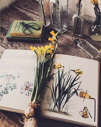 Vintage botanical still life with daffodils and old books
