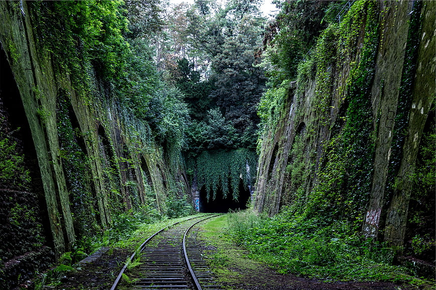 Overgrown railway tracks leading into a dark tunnel in a lush forest