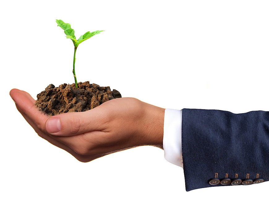 Businessman hand holding soil with green seedling on white background