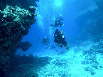 Scuba divers exploring coral reef underwater