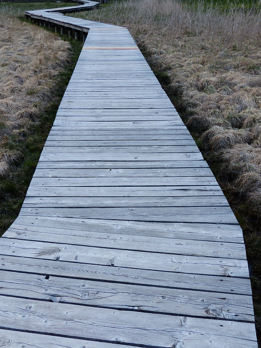 Winding wooden boardwalk through dry marshland grass