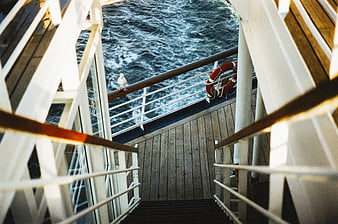 Seagull on cruise ship deck railing with ocean view