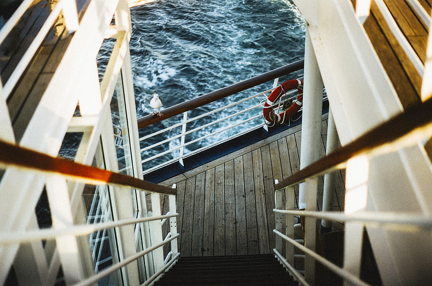 Seagull on cruise ship deck railing with ocean view