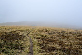 Foggy hiking trail through autumn moorland landscape