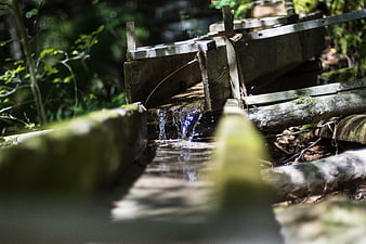 Old wooden water wheel dripping in a sunlit forest