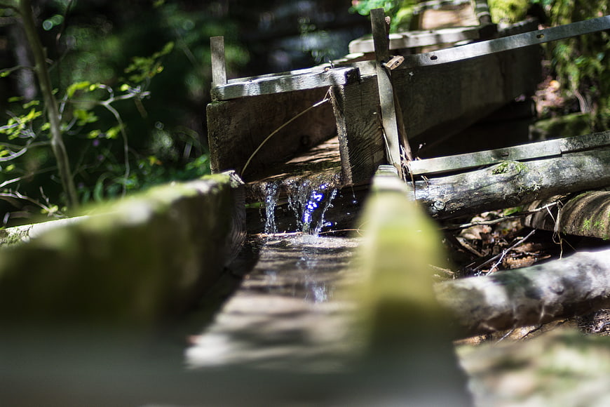 Old wooden water wheel dripping in a sunlit forest