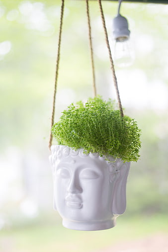 White Buddha Head Hanging Planter with Green Plant