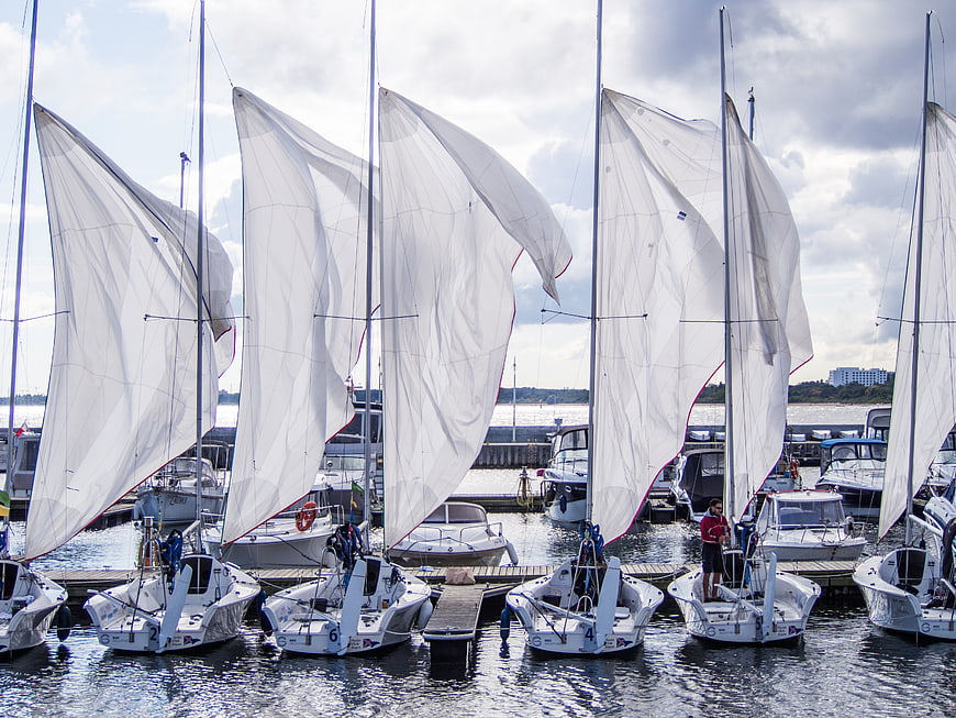 Fleet of sailboats with white sails docked in marina