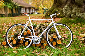 White bicycle leaning on woodpile in autumn garden