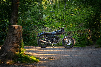 Vintage Black Cafe Racer Motorcycle Parked in Forest