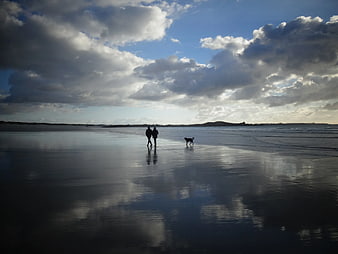 Couple Walking Dog on Wet Beach at Sunset
