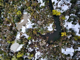 Aerial view of snowy park with winding river and trees