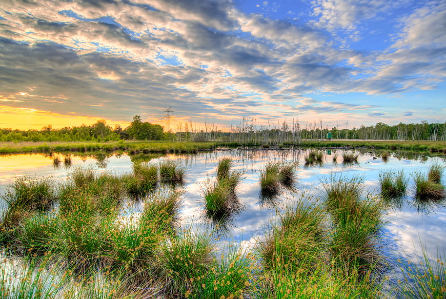 Dramatic sunset over wetland with grassy tufts and cloud reflections