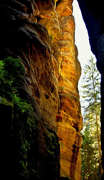 Sunlit sandstone rock formation in a forest canyon