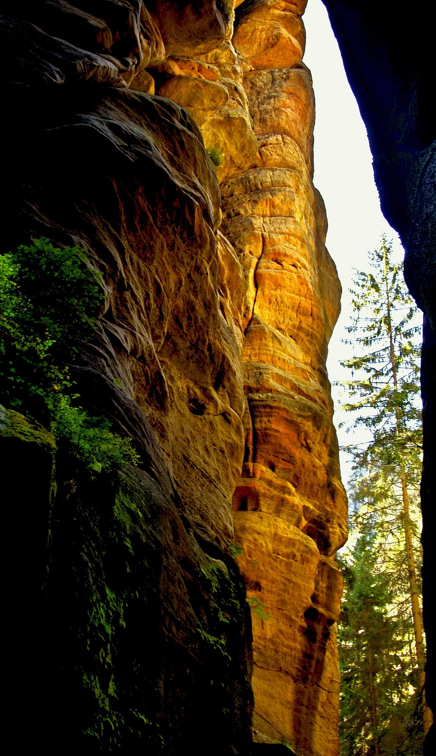 Sunlit sandstone rock formation in a forest canyon