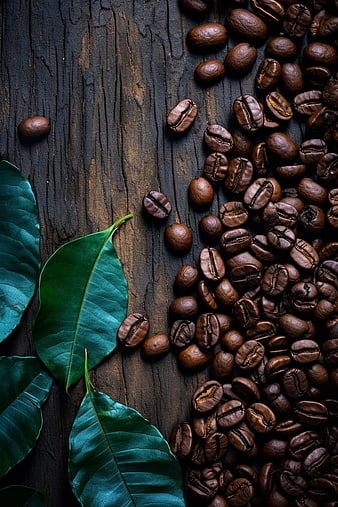 Roasted Coffee Beans and Green Leaves on Dark Wood