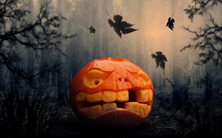 Carved Halloween Pumpkin in Dark Spooky Forest