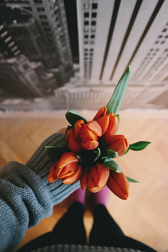 Hand holding orange tulips with blurred city background