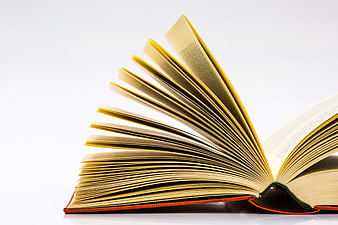 Open book with fanned pages on white background