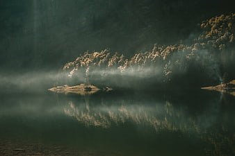 Misty Lake with Golden Sunlight on Trees