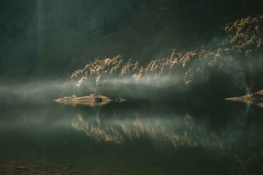 Misty Lake with Golden Sunlight on Trees