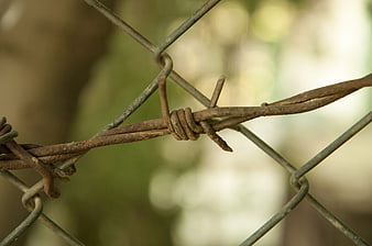 Close-up of rusty barbed wire on chain link fence