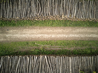 Aerial View of Stacked Logs and Dirt Road