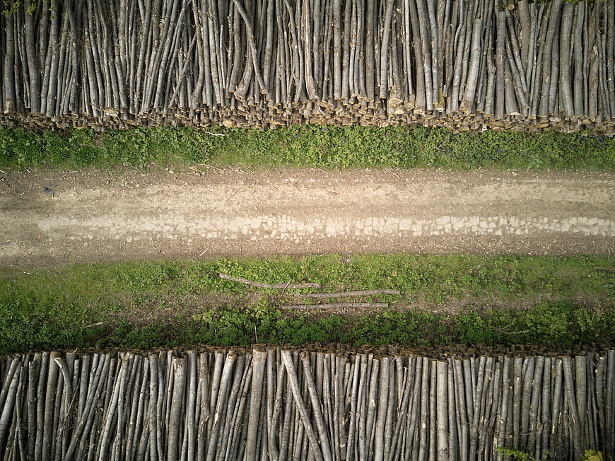 Aerial View of Stacked Logs and Dirt Road