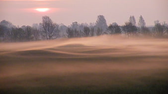 Misty Sunrise Over Rolling Hills and Trees