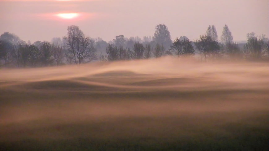 Misty Sunrise Over Rolling Hills and Trees