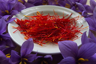 Saffron Stigmas on White Plate Surrounded by Purple Crocus Flowers